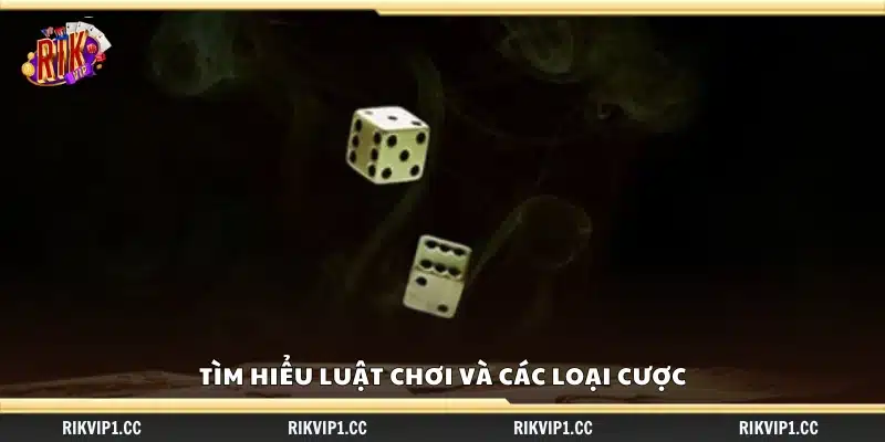 Khám phá luật chơi và hình thức cược trong Sicbo